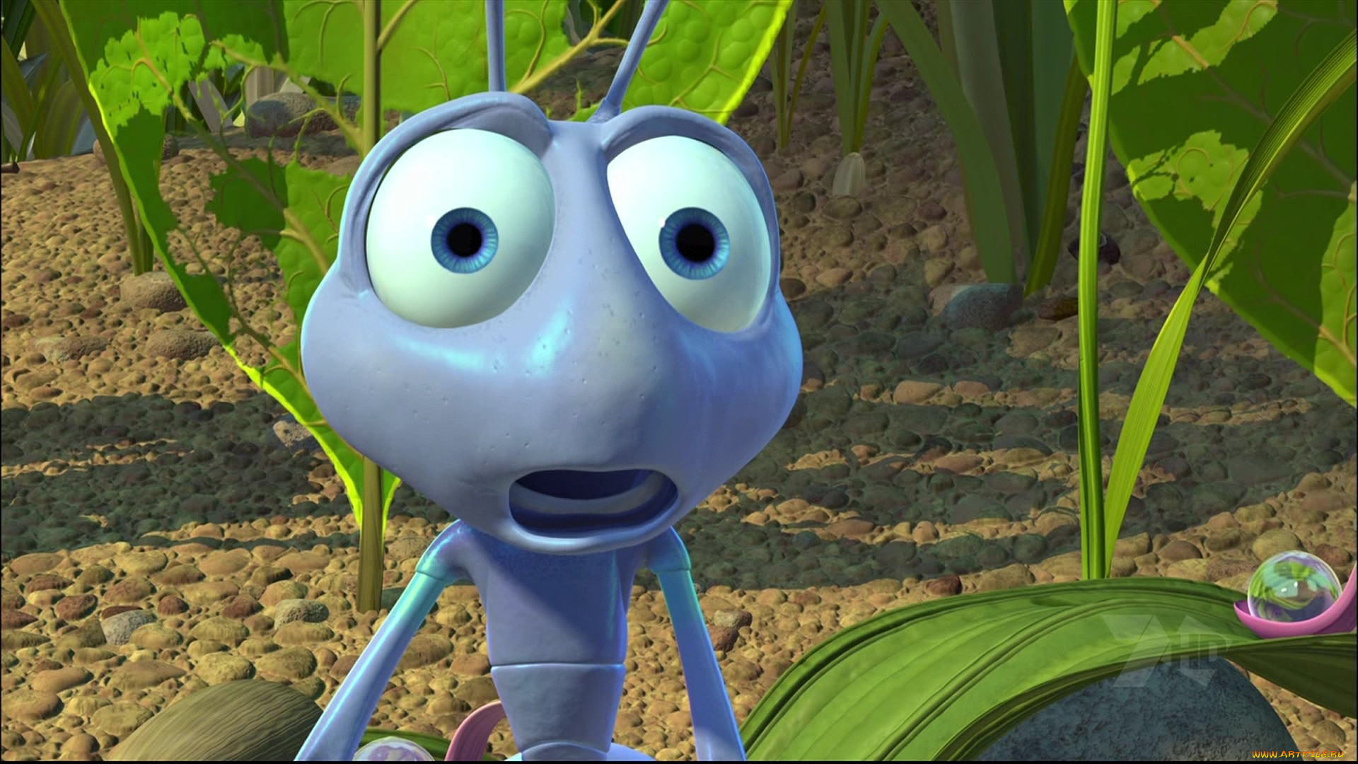 bugs life, , -unknown , , , 